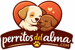 Perritos del Alma