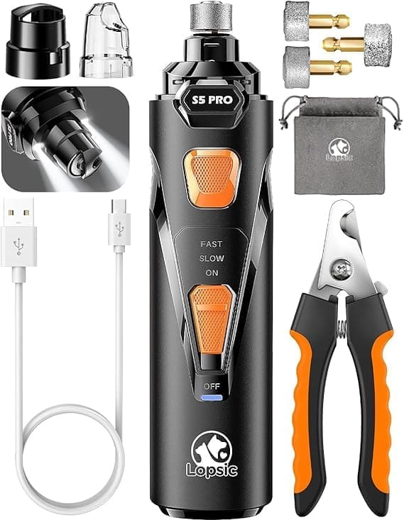 accesorios para perros