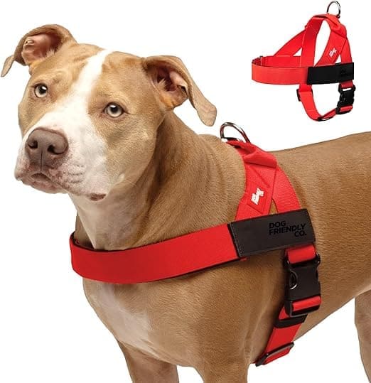 arnés ergonómico para perros