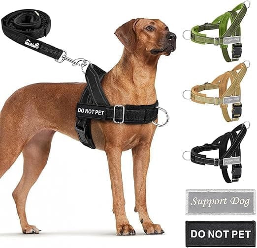 arnés para perros 