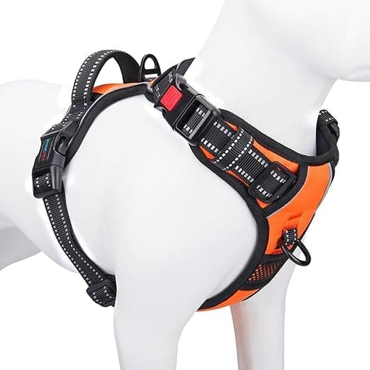 arnés reflectante para perros