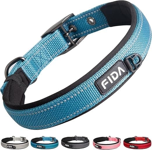 collar ajustable para perros