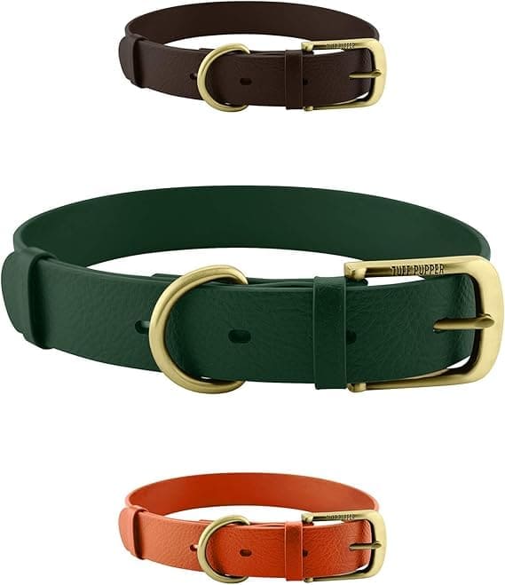  collar clásico para perros