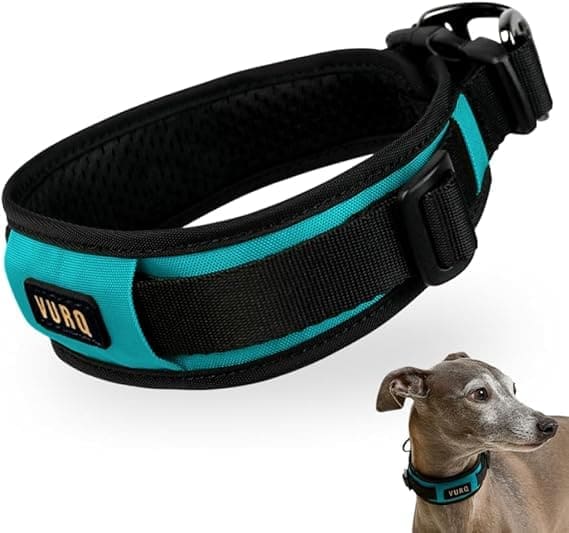 collar cómodo para perros