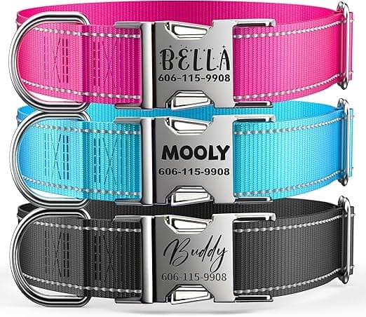 collar con nombre para perros