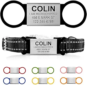collar con placa para perros