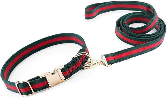 collar de lujo para perro