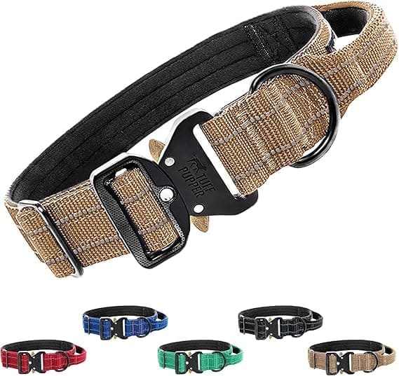 collar de seguridad para perros activos