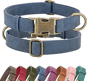 collar elegante para perro