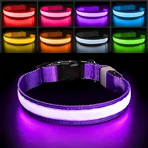 collar luminoso para perros
