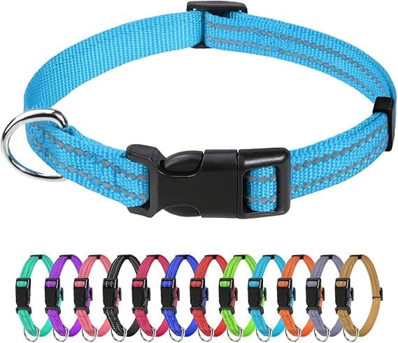 collar para cachorro