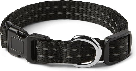 collar para perros