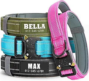 collar personalizado para perros