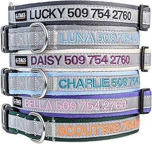collar reflectante para perros
