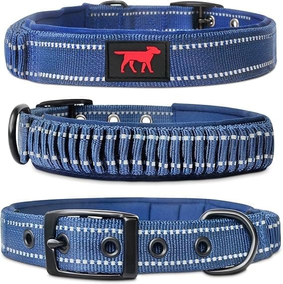 collar resistente para perros