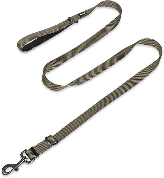 correa ajustable para perros