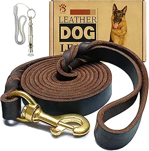 correa de cuero para perros