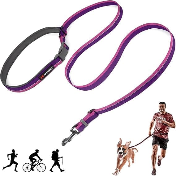 correa deportiva para perros