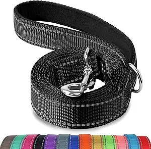 correas de nylon para perros