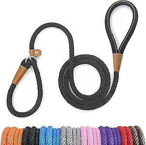 correas modernas para perros