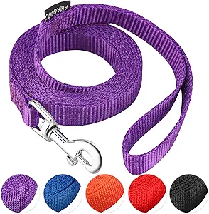 correas para cachorros