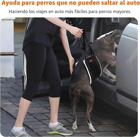 cuidado de perros mayores