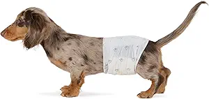 pañales para mascotas pequeñas