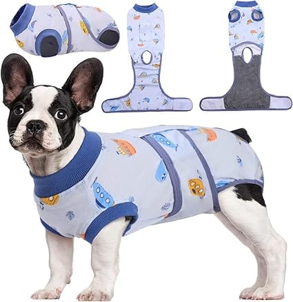 pañales para perros operados