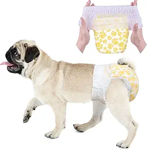 pañales resistentes para perros