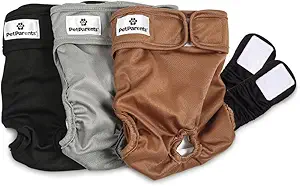 pañales reutilizables para perros