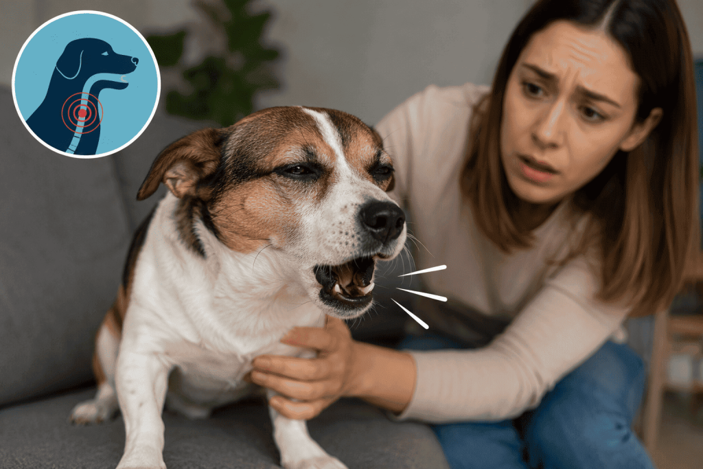 ¿Por qué mi perro hace ruidos raros como si se ahogara?